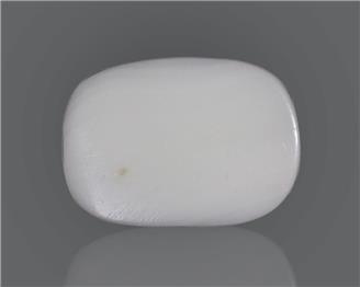 Natural White Coral  12.36 CTS (50142)